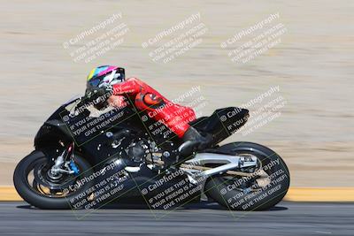 media/Feb-04-2024-SoCal Trackdays (Sun) [[91d6515b1d]]/4-Bowl Backside (11am)/